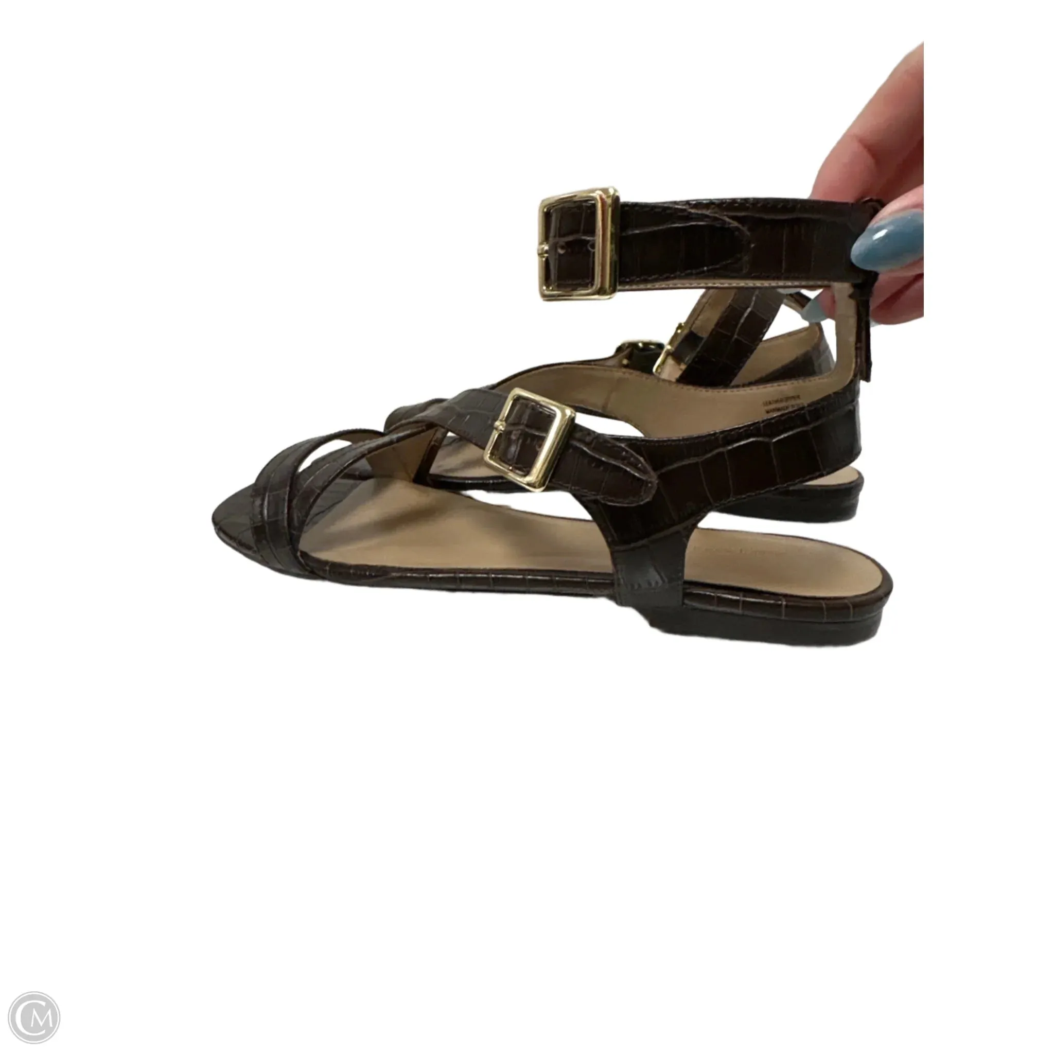 Sandals Flats By Ann Taylor In Brown, Size: 7.5